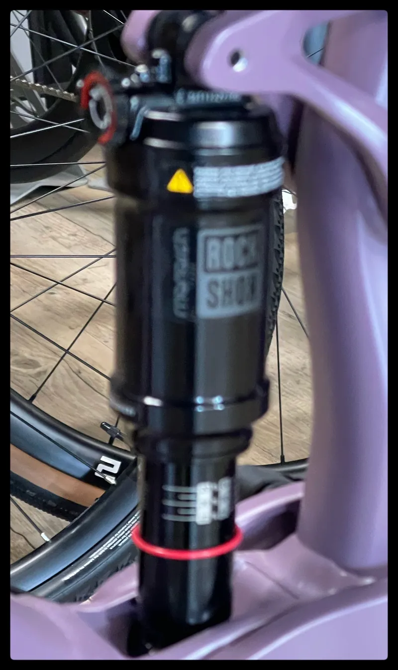 Liv Embolden E+ 2 29er Small Purple Ash 2022-4